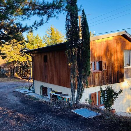 Chalet Forest Saint-Apollinaire  Exteriör bild
